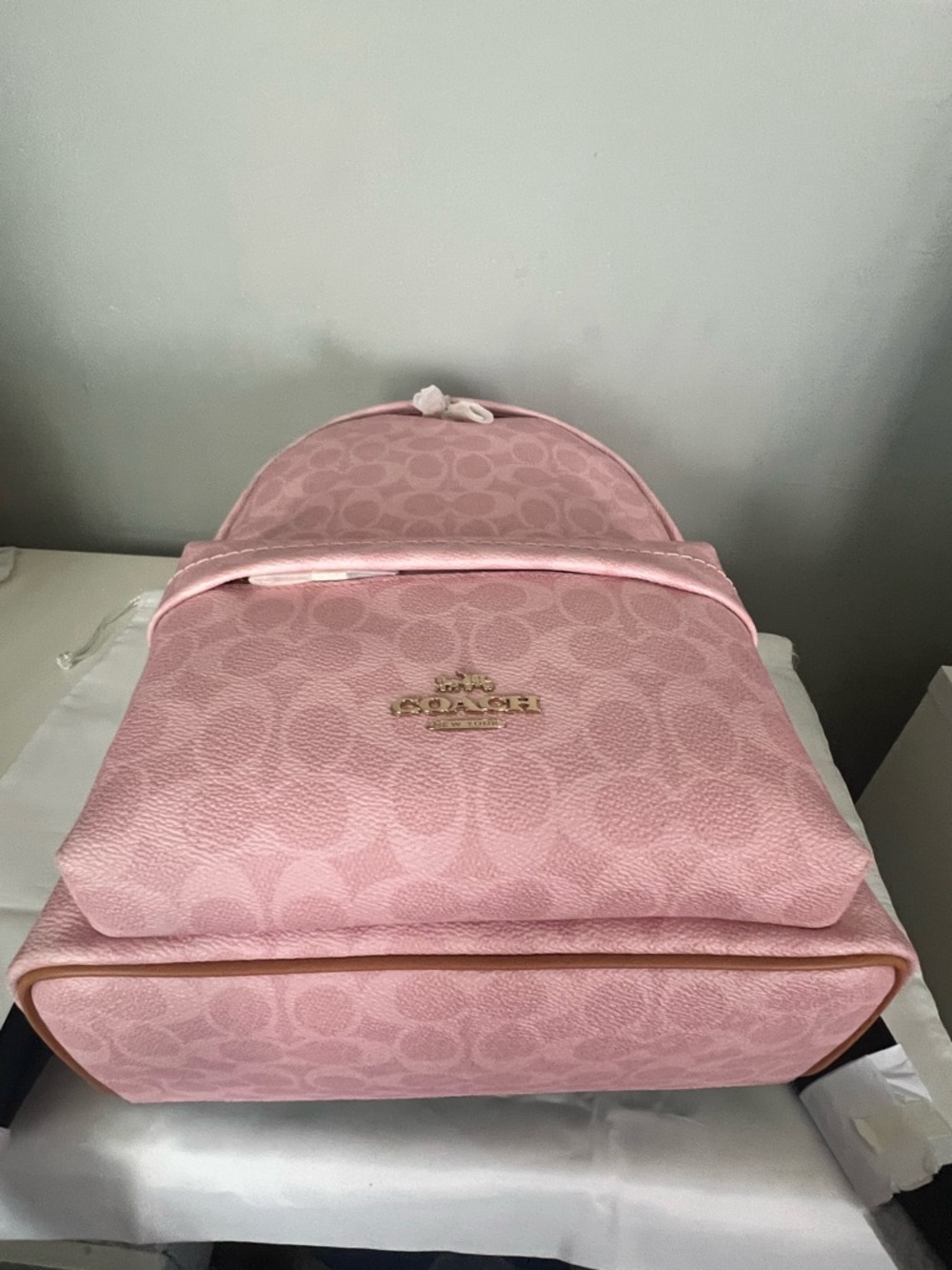 Coach Taylor Backpack In Powder Pink Color - Picture 9 of 9